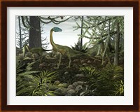 Coelophysis Dinosaurs Walk Amongst a Forest Fine Art Print