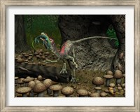 A Compsognathus prepares to swallow a small lizard Fine Art Print