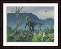 A Colorful Adult Male Dilophosaurus Explores a Hilltop Fine Art Print