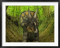 A Nedoceratops Wanders a Cretaceous Forest Fine Art Print