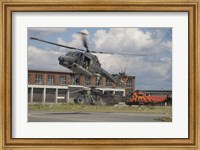 Sea Lynx and Sea King Helicopters of the German Navy Fine Art Print