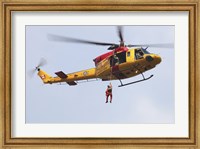 CH-146 Griffon of the Canadian Forces Fine Art Print