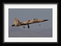 An F-5N Aggressor Aircraft of the US Marine Corps Fine Art Print