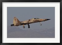 An F-5N Aggressor Aircraft of the US Marine Corps Fine Art Print