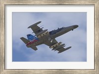 Czech Air Force Aero L-159T Advanced Light Combat Aircraft Fine Art Print