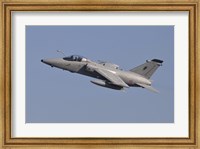 Italian Air Force AMX Aircraft Taking Off Fine Art Print