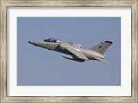 Italian Air Force AMX Aircraft Taking Off Fine Art Print