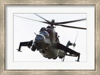 Polish Army Mil Mi-24V Hind in Flight Fine Art Print