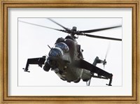 Polish Army Mil Mi-24V Hind in Flight Fine Art Print