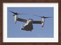 An MV-22B Osprey Prepares for Landing Fine Art Print