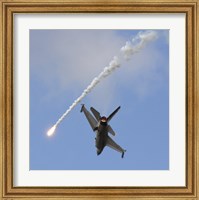 F-16AM Fighting Falcon spitting Flare Fine Art Print