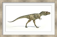 Albertosaurus Dinosaur on White Background Fine Art Print