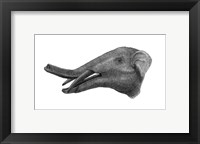 Pencil Drawing of Gomphotherium Fine Art Print