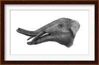 Pencil Drawing of Gomphotherium Fine Art Print