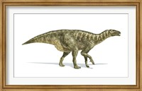 Iguanodon Dinosaur on White Background Fine Art Print