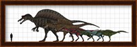 Spinosauridae Size chart Fine Art Print