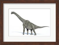 3D Rendering of a Brachiosaurus Dinosaur Fine Art Print