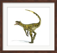 Herrerasaurus dinosaur on white background Fine Art Print