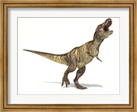 Tyrannosaurus Rex Dinosaur on White Background Fine Art Print