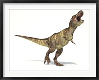 Tyrannosaurus Rex Dinosaur on White Background Fine Art Print