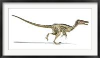 Velociraptor Dinosaur on White Background Fine Art Print
