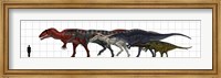 Carcharodontosauridae Size Chart Fine Art Print