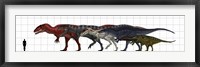 Carcharodontosauridae Size Chart Fine Art Print
