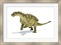 Talarurus Dinosaur on White background Fine Art Print