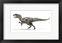 Allosaurus Dinosaur on White Background Fine Art Print