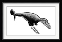 Black Ink Drawing of Gorgosaurus Libratus Framed Print