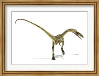 Coelophysis Dinosaur Fine Art Print