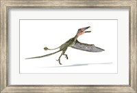 Dorygnathus Dinosaur Fine Art Print