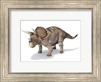 3D Rendering of a Triceratops Dinosaur Fine Art Print
