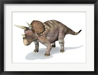 3D Rendering of a Triceratops Dinosaur Fine Art Print