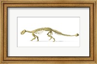 3D Rendering of an Ankylosaurus Dinosaur Skeleton Fine Art Print