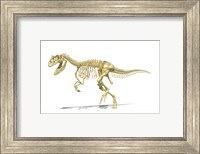 3D Rendering of an Allosaurus Dinosaur Skeleton Fine Art Print