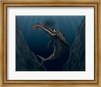 An Ophthalmosaurus Catches a Squid in the Deep Sea Fine Art Print