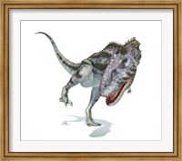 Majungasaurus Dinosaur on White Background Fine Art Print