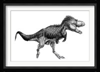 Black Ink Drawing of Albertosaurus Sarcophagus Framed Print