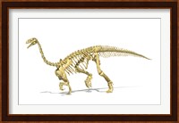3D Rendering of a Plateosaurus dinosaur skeleton Fine Art Print