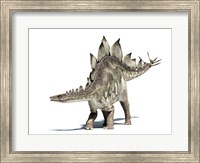 3D Rendering of a Stegosaurus Dinosaur Fine Art Print