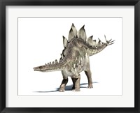 3D Rendering of a Stegosaurus Dinosaur Fine Art Print