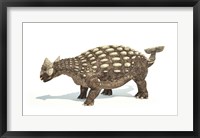 Ankylosaurus Dinosaur on White Background Fine Art Print