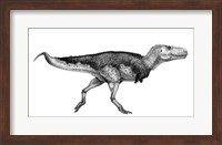 Black Ink Drawing of Zhuchengtyrannus Magnus Fine Art Print