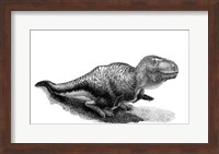 Black Ink Drawing of Tarbosaurus Bataar Fine Art Print