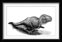 Black Ink Drawing of Tarbosaurus Bataar Framed Print
