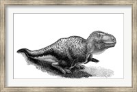 Black Ink Drawing of Tarbosaurus Bataar Fine Art Print