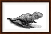 Black Ink Drawing of Tarbosaurus Bataar Fine Art Print