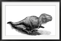 Black Ink Drawing of Tarbosaurus Bataar Framed Print