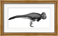 Black Ink Drawing of Tyrannosaurus Rex Fine Art Print